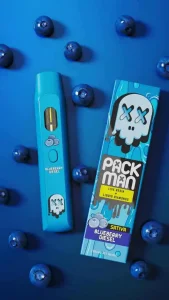 Packman Blueberry Diesel Disposable Vape