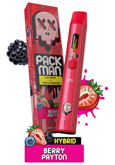 Packman Berry Payton Disposable Vape